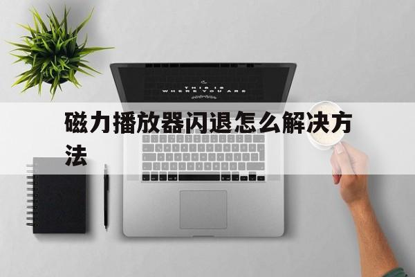 磁力播放器闪退怎么解决方法_磁力播放器闪退怎么解决方法图片