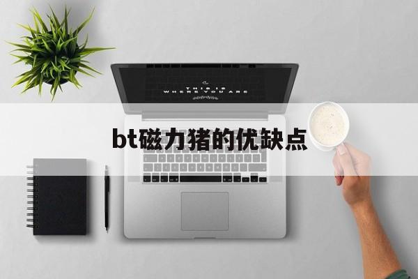 bt磁力猪的优缺点_bt磁力猪搜刮
引擎（磁力 brand）