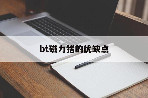 bt磁力猪的优缺点_磁力链最佳的搜刮
引擎（磁力链最佳的搜索引擎）